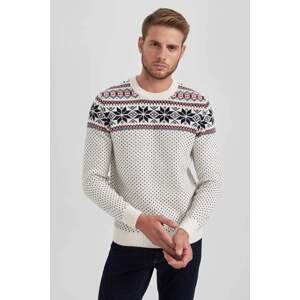 DEFACTO Standard Fit Crew Neck Knitwear Pullover