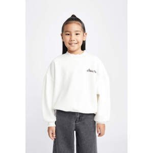 DEFACTO Oversize Fit Sweatshirt