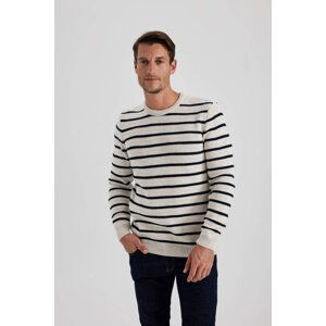 DEFACTO Standard Fit Crew Neck Knitwear Pullover