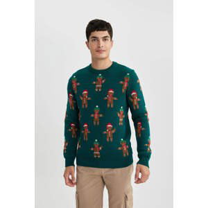 DEFACTO Standard Fit Crew Neck Knitwear Pullover