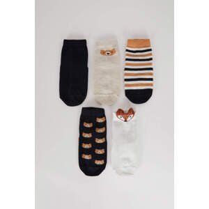 DEFACTO BabyBoy 5 Piece Long sock