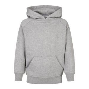 Boys Blank Hoody grey