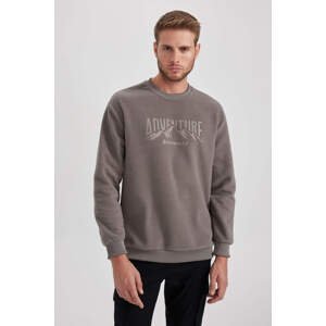 DEFACTO Relax Fit Discovery Licensed Long Sleeve Sweatshirt