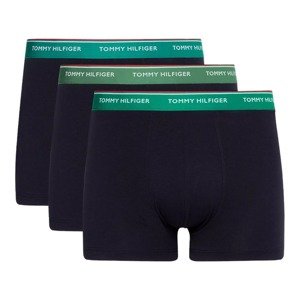 Tommy Hilfiger Woman's Underpants UM0UM016420UK Navy Blue