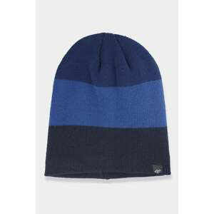 Men's winter hat 4F dark blue