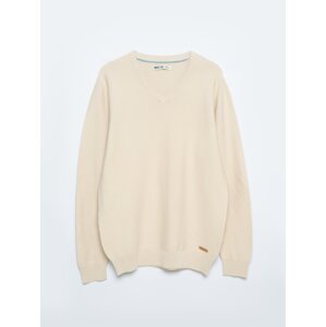 Big Star Man's V-neck Sweater 161038 Beige Wool-801