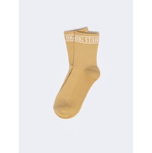 Big Star Woman's Standard Socks 210494  801