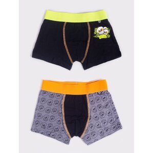 Yoclub Kids's 2Pack Boy's Boxer Briefs BMB-0015C-AA30