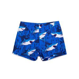 Yoclub Kids's Boys' Swimming Shorts LKS-0059C-A100