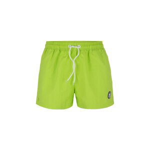 Men's Beach Shorts ATLANTIC - green