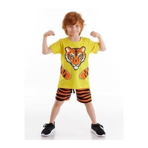 Denokids Tiger Claw Boy's T-shirt Shorts Set