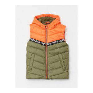 LC Waikiki Boy Color Block Hooded Puffer Vest