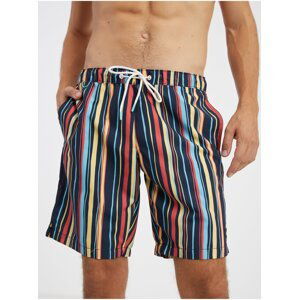 Red Blue Men's Striped Swimwear Tom Tailor - Men