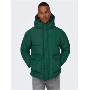 Dark Green Men's Quilted Winter Jacket ONLY & SONS Carl - Men