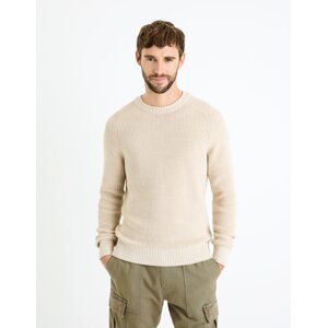 Celio Sweater Fesweet - Men's