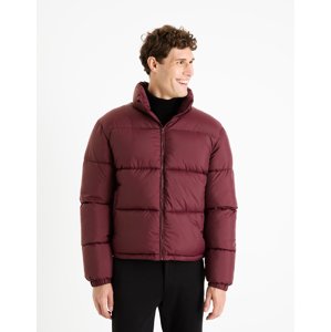 Celio Winter Jacket Fuparigi - Men