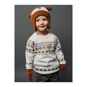 LC Waikiki Crew Neck Long Sleeve Patterned Baby Boy Knitwear Sweater