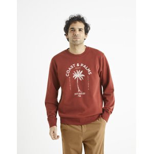 Celio Sweatshirt Begrif with print - Men