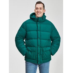 GAP Winter Hooded Jacket - Men