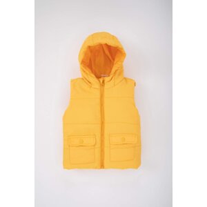 DEFACTO Baby Boy Hooded Vest