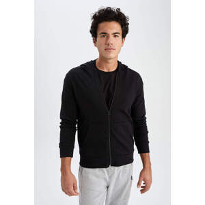 DEFACTO Regular Fit Sweatshirt