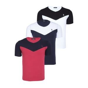 TRIPLE SET T8591 DEWBERRY MENS T-SHIRT-WHITE-NAVY BLUE-BURGUNDY