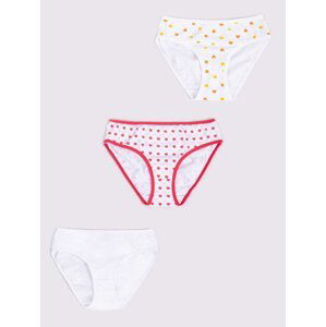 Yoclub Kids's Cotton Girls' Briefs Underwear 3-Pack BMD-0037G-AA20-002