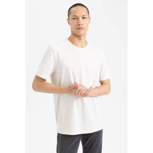 DEFACTO Regular Fit T-Shirt