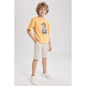 DEFACTO Boy Regular Fit Sweatshirt Fabric Shorts