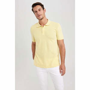 DEFACTO Regular Fit Polo T-Shirt