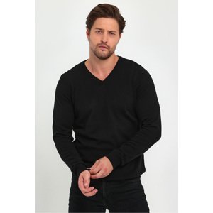 Lafaba Men's Black V-Neck Basic Knitwear Sweater