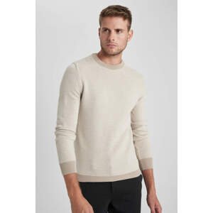 DEFACTO Standard Fit Crew Neck Knitwear Pullover