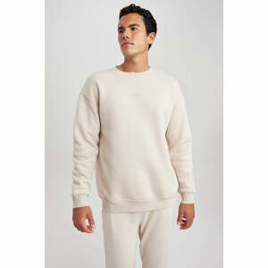 DEFACTO Boxy Fit Long Sleeve Sweatshirt