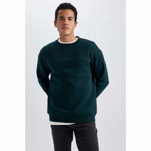 DEFACTO Boxy Fit Long Sleeve Sweatshirt