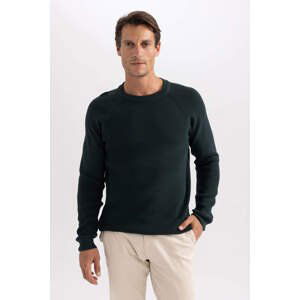 DEFACTO Standard Fit Crew Neck Knitwear Pullover