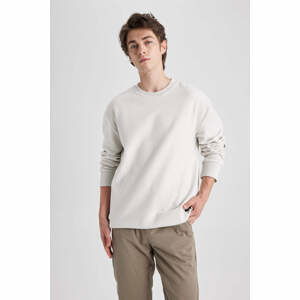 DEFACTO Regular Fit Long Sleeve Sweatshirt