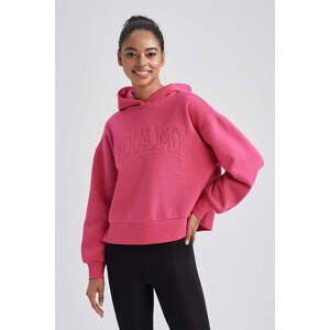 DEFACTO Long Sleeve Sweatshirt