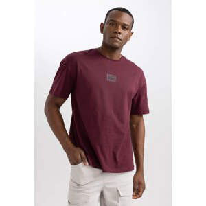 DEFACTO Comfort Fit Crew Neck Printed T-Shirt