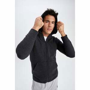 DEFACTO Regular Fit Sweatshirt