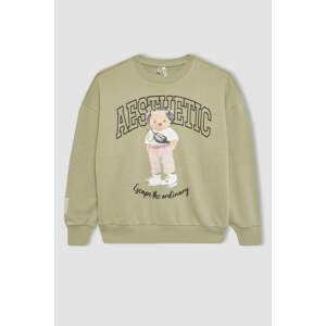 DEFACTO Regular Fit Crew Neck Sweatshirt