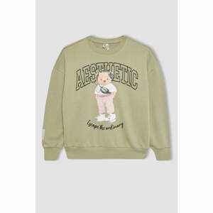 DEFACTO Regular Fit Crew Neck Sweatshirt