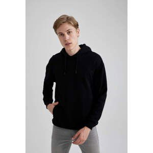 DEFACTO Boxy Fit Long Sleeve Sweatshirt