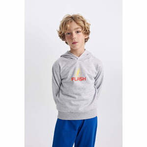 DEFACTO Regular Fit The Flash Licensed Crew Neck Sweatshirt