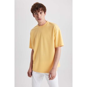 DEFACTO Oversize Fit Crew Neck T-Shirt