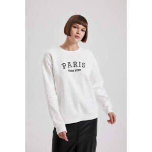 DEFACTO Regular Fit Printed Long Sleeve Sweatshirt