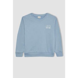 DEFACTO Regular Fit Crew Neck Sweatshirt