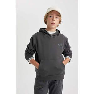 DEFACTO Regular Fit Hooded Sweatshirt