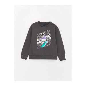 LC Waikiki Crew Neck Printed Long Sleeve Boys' Sweatshirt.