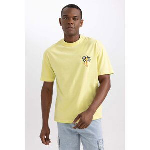 DEFACTO Comfort Fit Crew Neck Printed T-Shirt