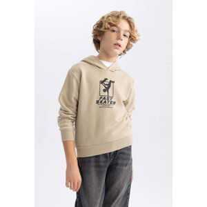 DEFACTO Boy Printed Hooded Thick Sweatshirt